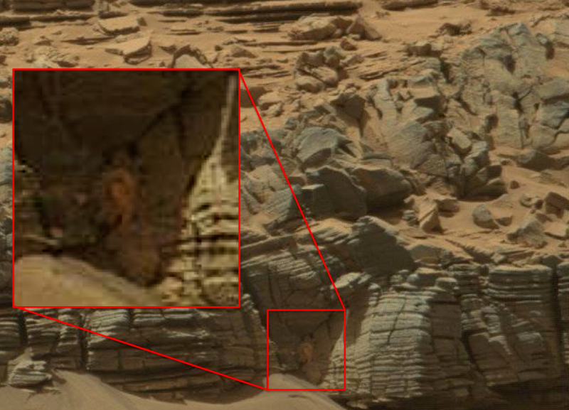 The Thinks NASA Has Photographed a Crab Monster on Mars Complex